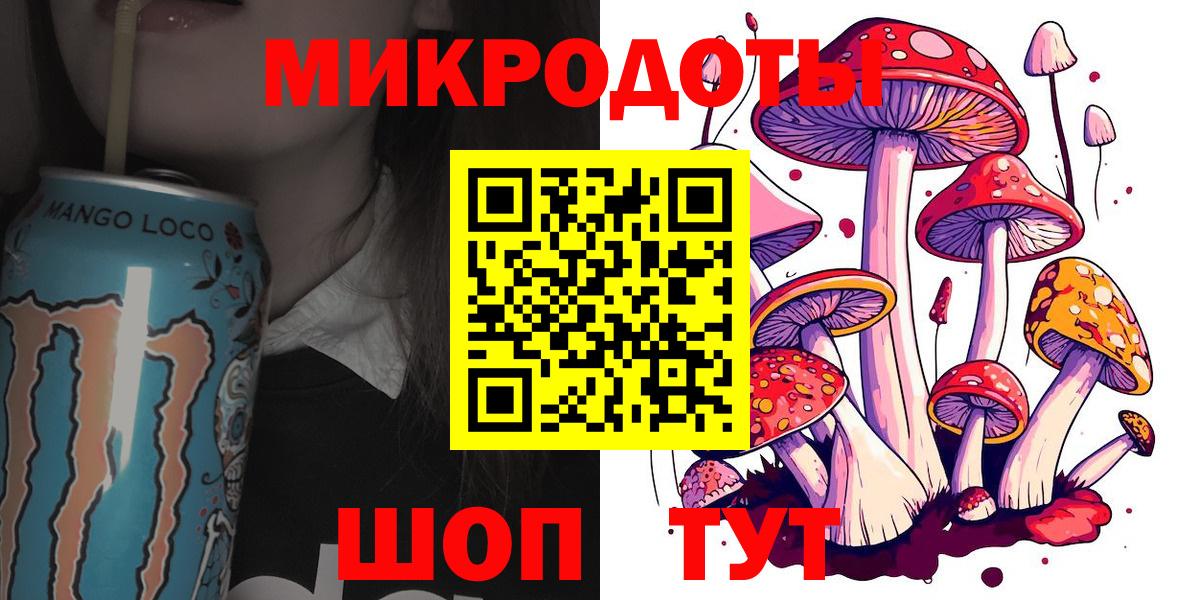 Галлюциногенные грибы Psilocybe Лесосибирск