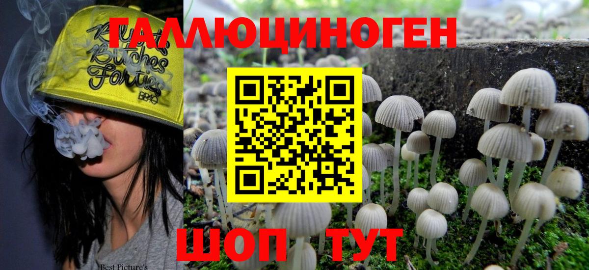 Псилоцибиновые грибы Psilocybe  Вход с VPN  Галлюциногенные грибы Psilocybe  Лесосибирск 